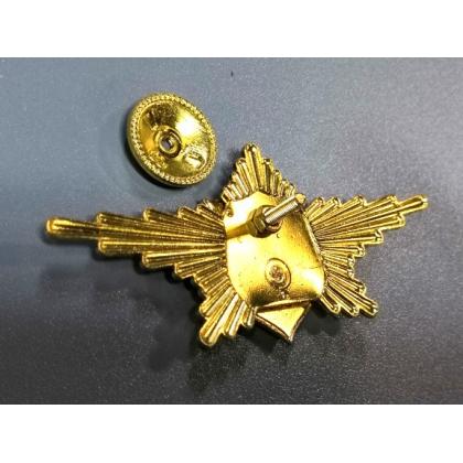 Где купить Знак нагрудный РПК  ( РОТА ПОЧЕТНОГО КАРАУЛА )  военторг Атаман 77 Москва доставка дешево