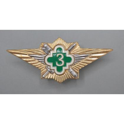 Где купить нагрудный знак классность значок ФСИН  - 3 класс в Москве недорого с доставкой по России