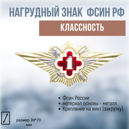 Где купить нагрудный знак классность значок ФСИН  - 1класс в Москве недорого с доставкой по России