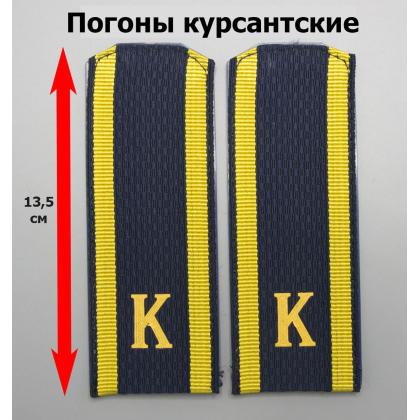 Где купить Погоны (курсантские) галунные синие К , ВВС  ( 14  см ), пластик в Москве недорого с доставкой по России