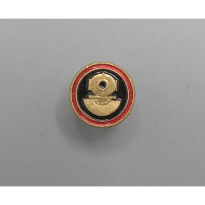  Где купить фрачный значок знак Фрачник Водолаз малый в Москве недорого с доставкой по России