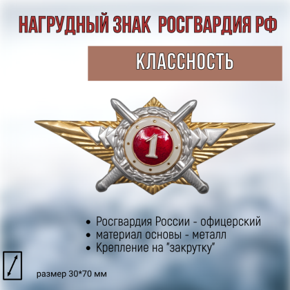 Где купить Нагрудный знак классность  Росгвардия 1 класс в Москве СПб недорого с доставкой по России