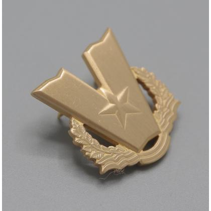 Где купить нагрудный знак Фрачник  V (звезда и венок) в Москве не дорого с доставкой по России