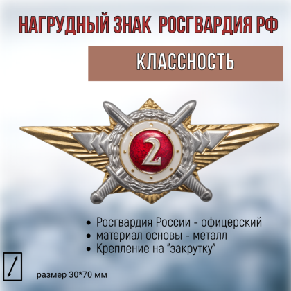Где купить Нагрудный знак классность  Росгвардия 2 класс в Москве СПб недорого с доставкой по России
