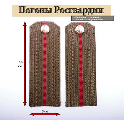 Где купить Погоны Росгвардии оливковые, 1 краповый просвет, Росгвардия, на плащ в Москве недорого