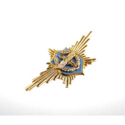 Где купить значок Знак нагрудный  Символ РА лучи ВВС в Москве недорого