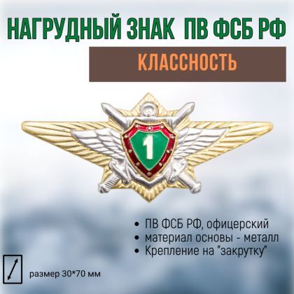 Где купить Нагрудный знак классность   пограничные войска ПВ ФСБ РФ  офицерский - 1 класс в Москве недорого