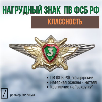 Где купить Нагрудный знак классность  Пограничные Войска России РФ офицерский - 3 в Москве недорого