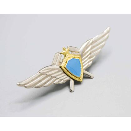 Где купить знак Значок Классность ВКС чистая (для технических специалистов) в Москве недорого