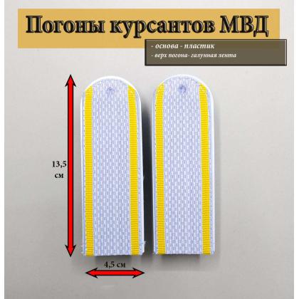 Где купить Погоны серо-голубые курсант  Полиция (МВД), пластик в Москве недорого с доставкой по России