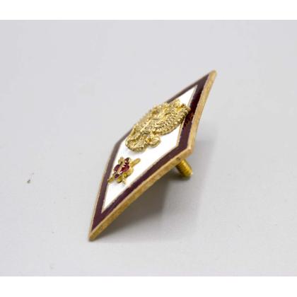  Где купить знак высшее образование Значок мет. Ромб Академия ФСИН с отличием (красный кант)  латунь,  2 накладки , (горячая эмаль) в Москве недорого 