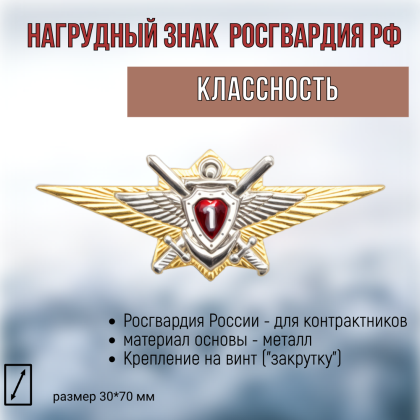 Где купить Нагрудный знак классность Росгвардия для контрактников 1 класс в Москве недорого