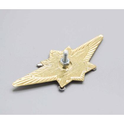 Где купить Нагрудный знак классность  Пограничные войска РФ. офицерский - М (мастер) в Москве недорого