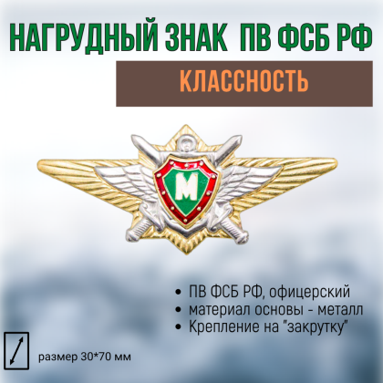 Где купить Нагрудный знак классность  Пограничные войска РФ. офицерский - М (мастер) в Москве недорого