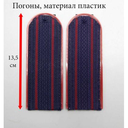 Где купить Погоны (ФСИН) пластик 2 краповых просвета, краповая выпушка, синий галун, полукруглые в Москве недорого с доставкой по России