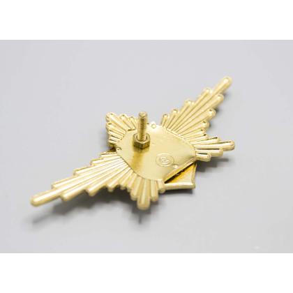 Где купить Знак нагрудный РПК  ( РВСН ) в Москве недорого