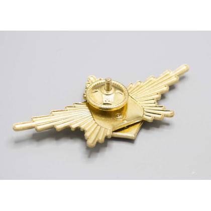Где купить Знак нагрудный РПК  ( РВСН ) в Москве недорого