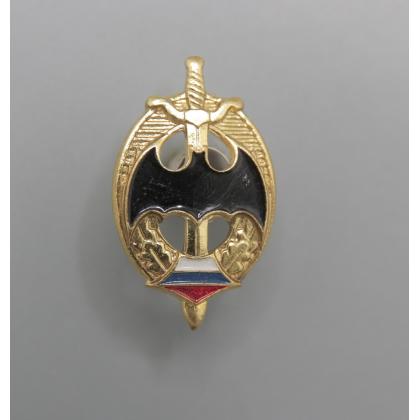  Где купить фрачный значок знак Фрачник  Летучая Мышь на мече (в овале) в Москве не дорого с доставкой по России