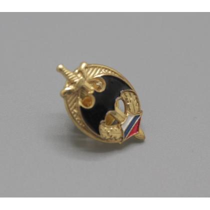  Где купить фрачный значок знак Фрачник  Летучая Мышь на мече (в овале) в Москве не дорого с доставкой по России