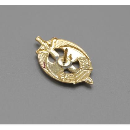  Где купить фрачный значок знак Фрачник  Летучая Мышь на мече (в овале) в Москве не дорого с доставкой по России