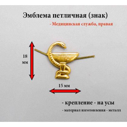 Где купить Эмблему петличную металлическую Медицинская служба золотая (правая) в Москве недорого с доставкой по России