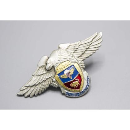 Где купить знак нагрудный значок  ВДВ  7 гвардия  ( дивизия ) орел в МОскве недорого с доставкой по России