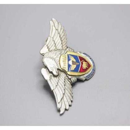 Где купить знак нагрудный значок  ВДВ  7 гвардия  ( дивизия ) орел в МОскве недорого с доставкой по России