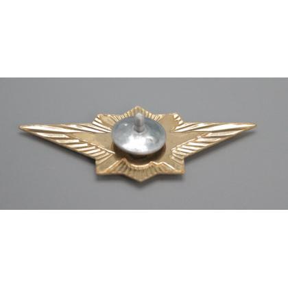Где купить нагрудный знак классность значок ФСИН  - 1класс в Москве недорого с доставкой по России