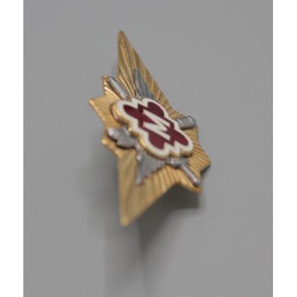 Где купить Нагрудный знак классность  ФСИН  - Мастер  военторг Атаман Москва доставка дешево