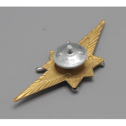 Где купить Нагрудный знак классность Росгвардия для контрактников 3 класс в Москве СПб недорого с доставкой по России