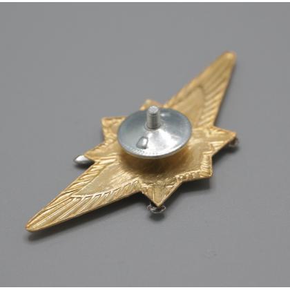 Где купить Нагрудный знак классность  ВС.РФ. офицерский - Мастер (синий) в Москве недорого с доставкой по России