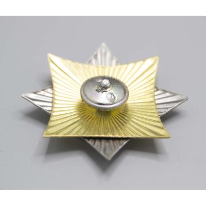 Где купить знак Значок  Орден-звезда Кадеты России (Латунь) в Москве недорого 