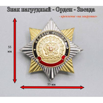 Где купить знак Значок  Орден-звезда Кадеты России (Латунь) в Москве недорого 