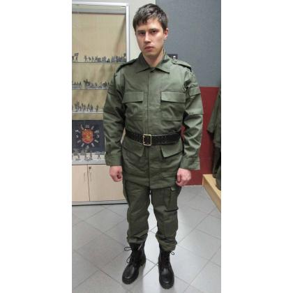 Брюки летние госреестр полевые, цвет олива, ткань рип-стоп, купить